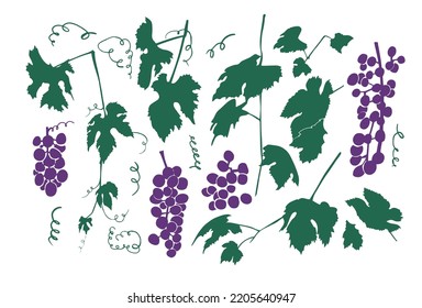 Conjunto de silueta de uvas. Ilustración del vector
