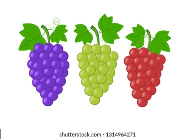 Set of grapes vector Illustration , bunch of  grapes with stem and leaf isolated on white background,fresh fruit