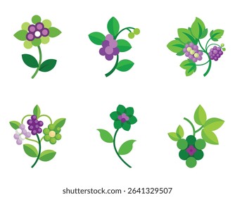 SET of a grapevine flower icon with tiny greenish blooms