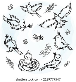 Set of Graphic Birds With Herbal Elements and Bees
