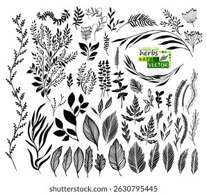 Set of graphic black leaves and branches. hand drawn. Not AI, Vector illustration.