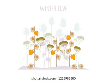Set of graphic colored winter dry field plants, herbarium, tansy, winter cherry and teasel. Vector illustration, isolated on white background for card, design, package and print.