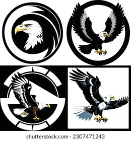 set of graphic design eagle logo dynamic  vector illustration