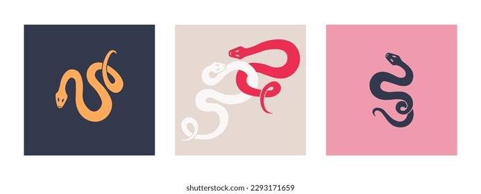 Set of graphic elements of cute twisted colorful snakes. Multi-colored serpents on contrasting backgrounds. Vector isolated illustration for design.