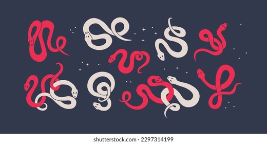 Set of graphic elements of cute twisted colorful snakes. Multi-colored serpents on contrasting backgrounds. Vector isolated illustration for design.