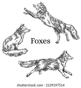 Set graphic elements. Sketch tattoo. Running foxes. Engraving style Vector illustration.