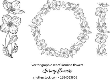 A set of graphic flower compositions with Jasmine flowers. Jasmine