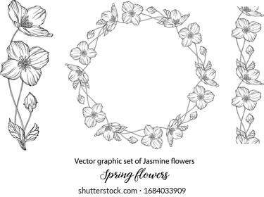 A set of graphic flower compositions with Jasmine flowers. Jasmine