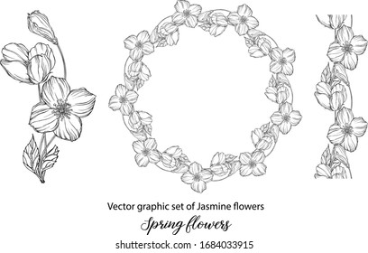 A set of graphic flower compositions with Jasmine flowers. Jasmine