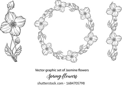 A set of graphic flower compositions with Jasmine flowers. Jasmine