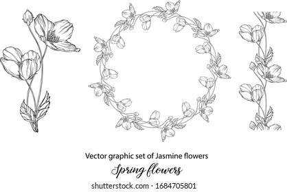 A set of graphic flower compositions with Jasmine flowers. Jasmine
