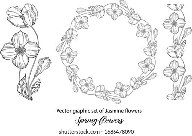 A set of graphic flower compositions with Jasmine flowers. Jasmine