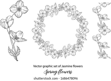 A set of graphic flower compositions with Jasmine flowers. Jasmine