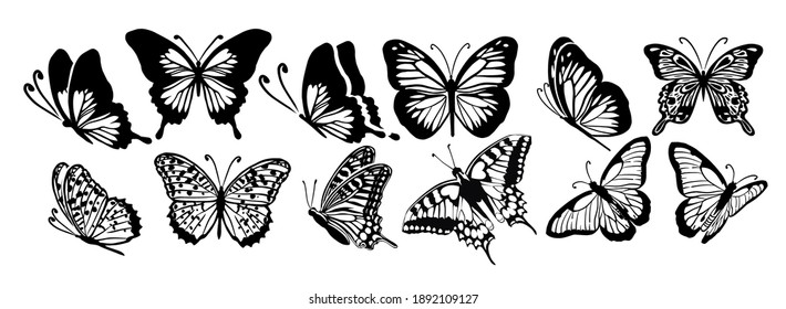 Set Graphic flying black and white butterflies. Vector illustration. Tropical butterfly on a white background