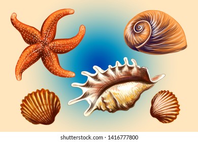 
Set of graphic hand drawn seashells and starfish.