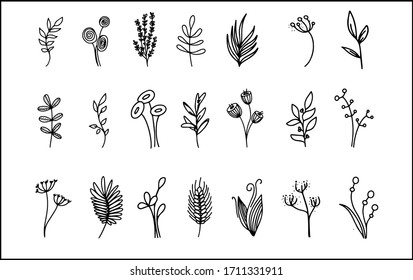 
Set of graphic icons of plants minimalism logo, botanical collection, twigs and flowers laconic and simple vector images