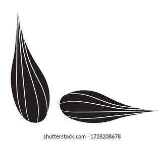 Set of graphic illustration with black silhouette of wheat grain in isolate on a white background. The theme of crops, agriculture or bakery products. Vector illustration