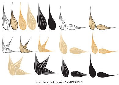 Set of graphic illustration with wheat grains in isolate on a white background. The theme of crops, agriculture or bakery products. Vector illustration