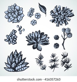 Set of graphic images with succulents. Illustration for greeting cards, invitations, and other printing projects.