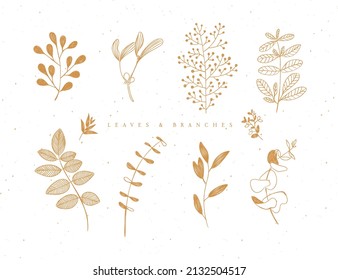 Set of graphic leaves and branches in floral style drawing in beige color on white background