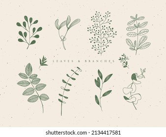 Set of graphic leaves and branches in floral style drawing in green color on beige background