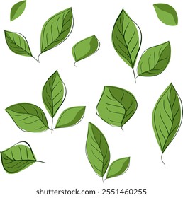 Set of graphic line leaves silhouettes. Vector Hand drawn floral design elements, icons, shapes. Wild and garden leaves outline illustrations isolated on white transparent background
