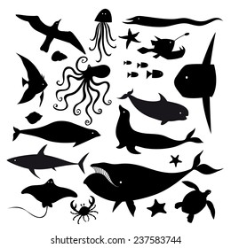 set of graphic marine animals on a white background 