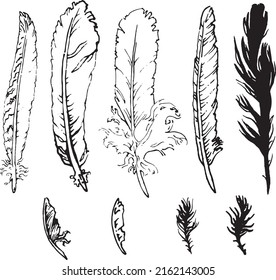 Set of graphic monochrome feathers