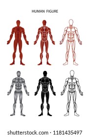 Set of Graphic Muscular man human figures
