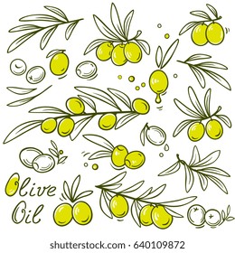 set of graphic olive branch silhouettes with fruits