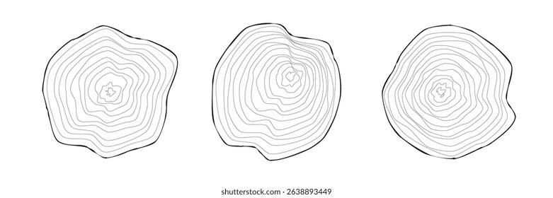 Set of graphic outline wavy concentric tree rings on wooden cuts on white. Slices wood trunk. Ripple organic circles. Hardwood stump. Vector illustration
