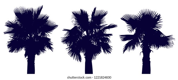 Set of graphic palms