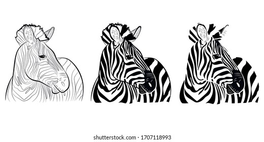 Set of graphic portrait of a zebra in profile in isolate on a white background. Vector illustration.