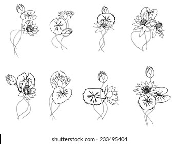 Set graphic stripes painted shadows,Lotus flowers hand drawn on white background. Traditional Japanese ink painting. Contains hieroglyphs - zen, freedom, nature, beauty