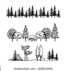 a set of graphic tree illustrations, a row of trees isolated on white background