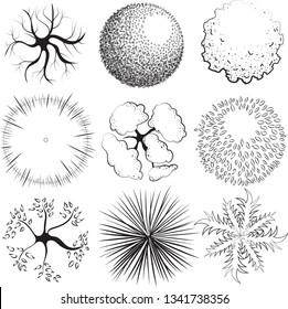 Set of graphic trees. View top for architectural and landscape projects. Nine objects on white background