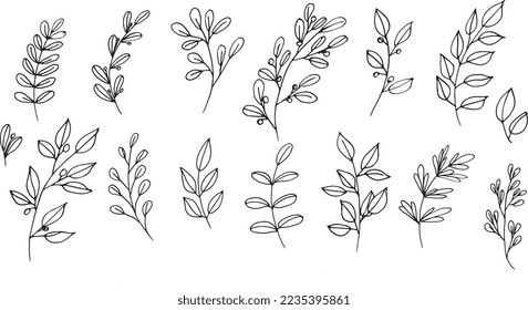 Set of graphic vector black plant branches with leaves and berries