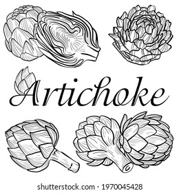 set of graphic vector image of artichoke flower on white background
