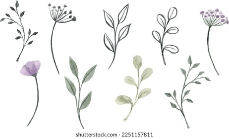 Conjunto de ramas de plantas vectoriales gráficas con hojas y flores. Elementos vectores para el diseño de bodas, el diseño de logotipos, el embalaje y otras ideas