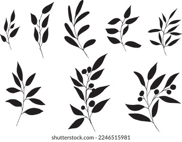 Set of graphic vector silhouette of plant branches with leaves and flowers