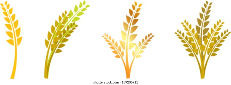 set of graphic yellow ears of corn