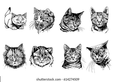 Set of graphical cats isolated on white background for coloring and tattoo