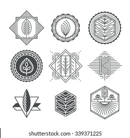 Set of graphical natural labels, mono line and monochromatic design collection of eco signs, logos and symbols. 