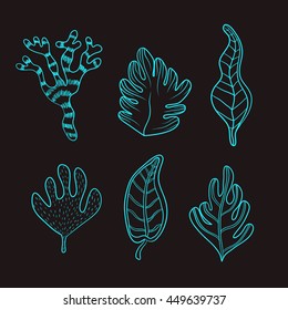 set of graphical tropical leaves. .Exotic  illustration,summer 