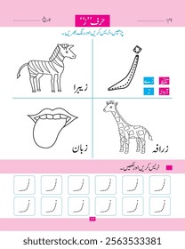  a set of graphs or characters used to represent the phonemic structure of a language.