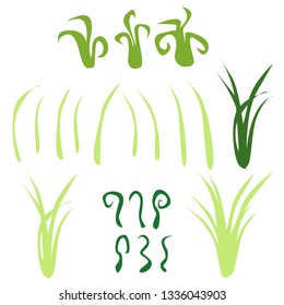 set of grass and blades of grass isolated on white background. vector image. element of nature