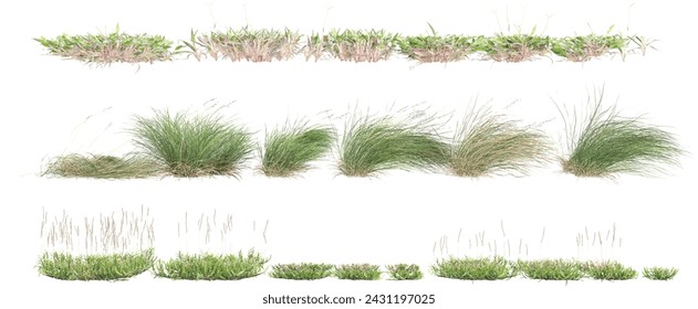 set of grass and bush with alpha mask, 3d rendering, for digital composition and architecture visualization