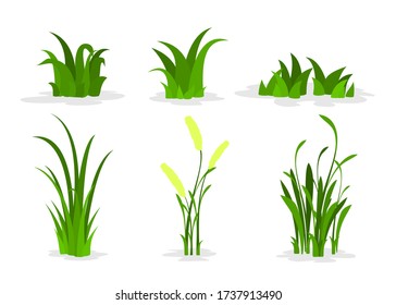 a set of grass flat design isolate white background