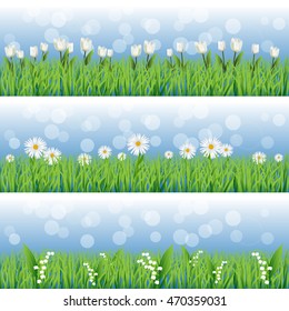 Set of grass with flower backgrounds. Tulips, daisies and lilies.