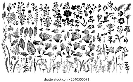 Set of grass and flowers. hand drawing. Not AI. Vector illustration.
